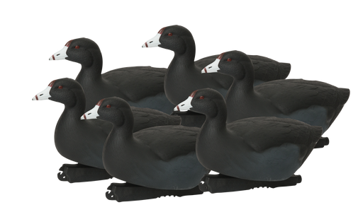 GHG Hunter Series Over Size Coot Decoys