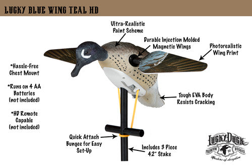 Lucky Duck Lucky Blue Wing Teal HD