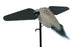 Lucky Dove HD
