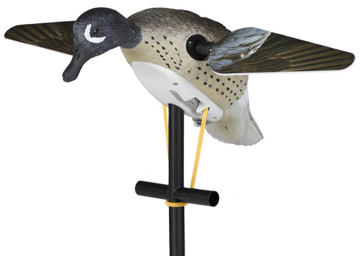 Lucky Duck Lucky Blue Wing Teal HD