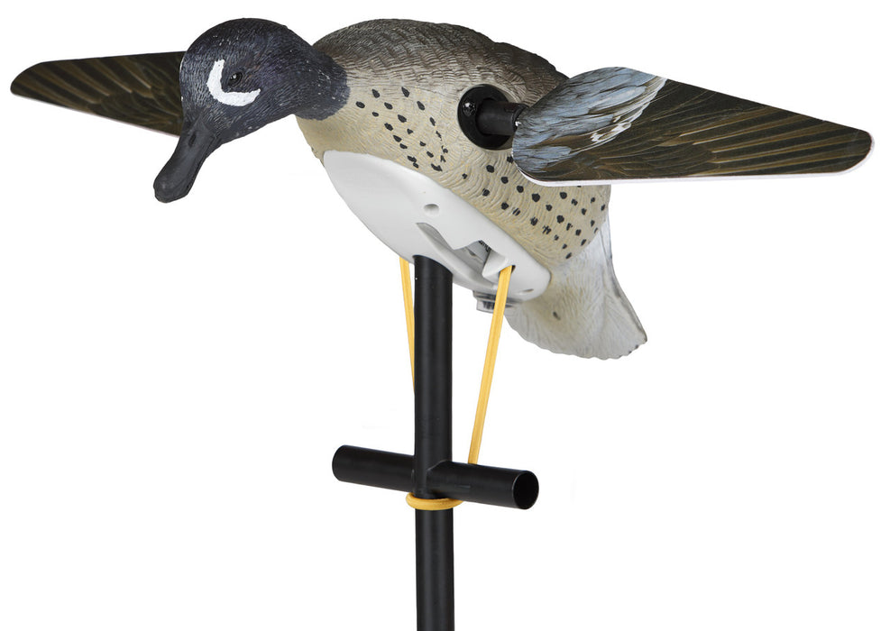 Lucky Duck Lucky Blue Wing Teal HD