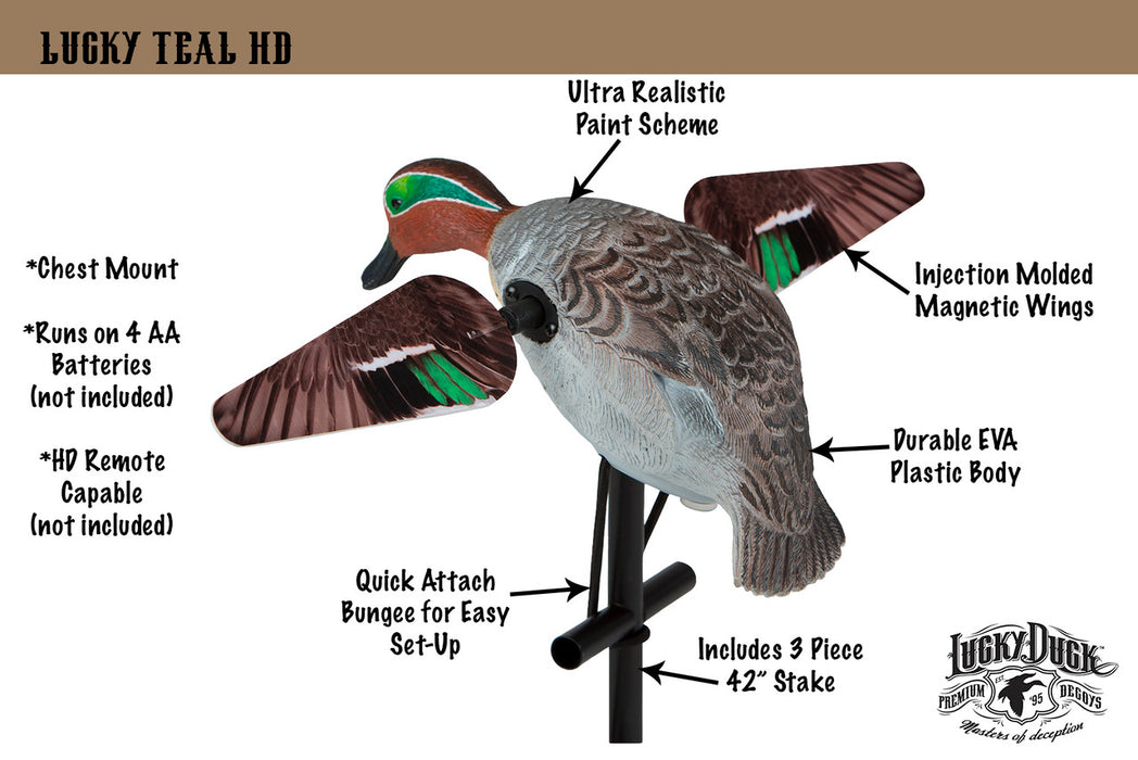 Lucky Duck Lucky Teal HD