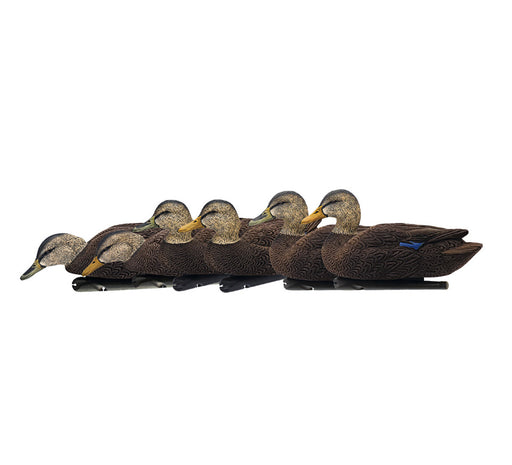 Avian X Topflight Black Duck Decoys