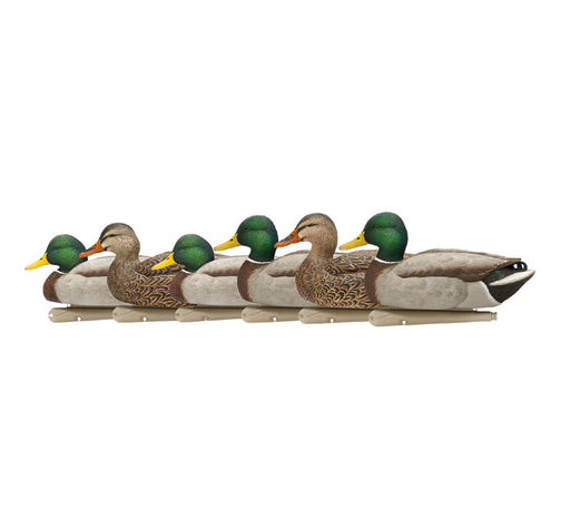 Avian X Topflight Open Water Pack Mallards