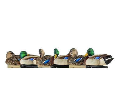 Avian X Rester/Preener Mallard Decoys